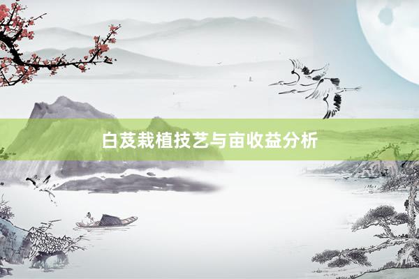白芨栽植技艺与亩收益分析
