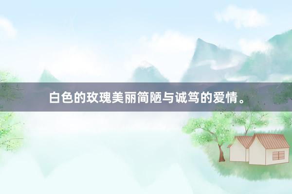 白色的玫瑰美丽简陋与诚笃的爱情。