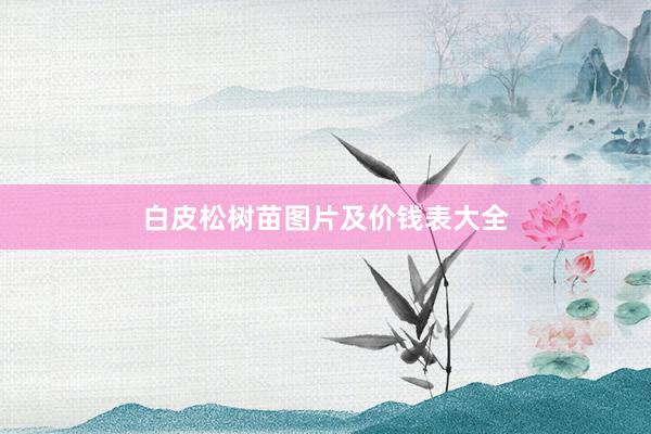 白皮松树苗图片及价钱表大全